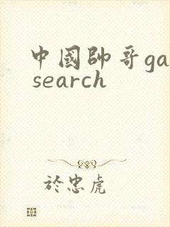 中国帅哥gay search封面