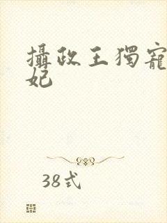 摄政王独宠小王妃封面