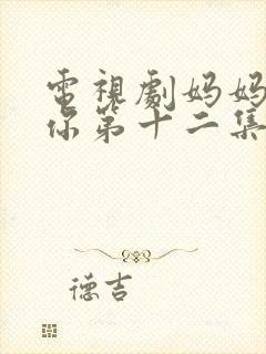 电视剧妈妈在等你第十二集