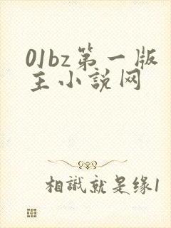 01bz第一版主小说网