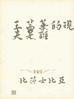 王茜华的现任丈夫是谁