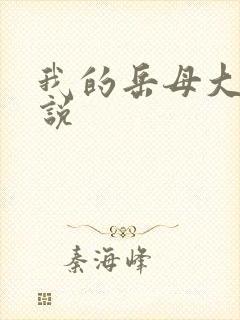 我的岳母大人小说