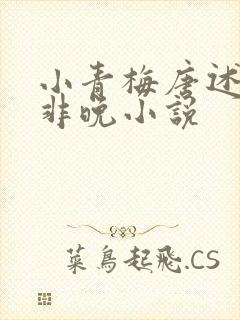 小青梅唐述白秦非晚小说