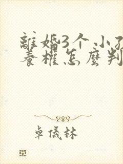 离婚3个小孩抚养权怎么判