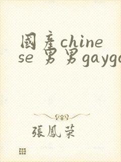 国产chinese 男男gaygay网站封面
