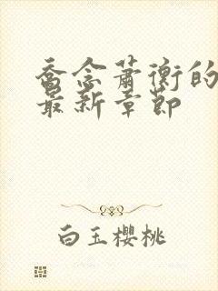 乔念萧衡的小说最新章节