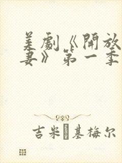 美剧《开放式夫妻》第一季完整版在封面