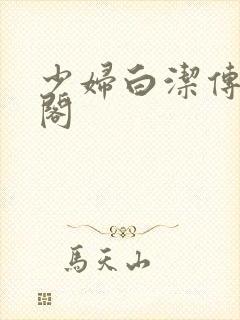 少妇白洁传笔趣阁