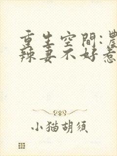 重生空间:农门辣妻不好惹
