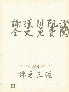 谢瑾川阮澄小说全文免费阅读封面