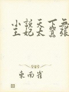 小说天下无双之王妃太嚣张封面