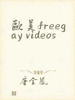 欧美freegay videos