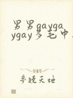 男男gaygaygay多毛中国