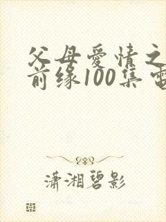 父母爱情之再续前缘100集电视剧