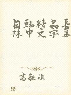 日韩精品长腿丝袜中文字幕高清