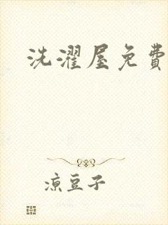 洗濯屋免费在线