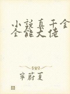 小说真千金她是全能大佬