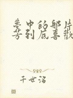 梦中的那片海叶芳到底喜欢谁