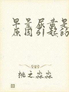 早晨尿黄是什么原因引起的