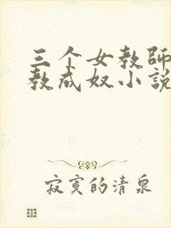 三个女教师被调教成奴小说封面