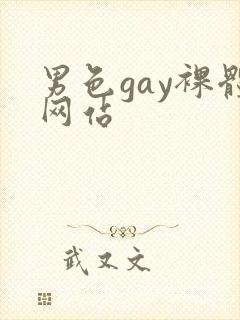 男色gay裸体网站