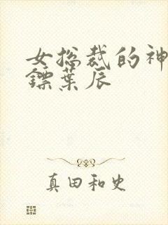 女总裁的神级保镖叶辰