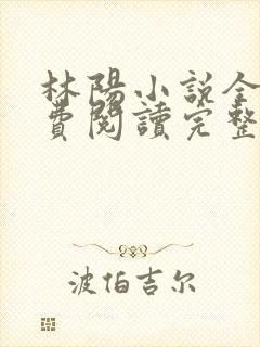 林阳小说全文免费阅读完整版封面