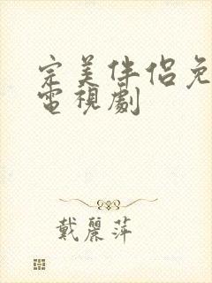 完美伴侣免费看电视剧