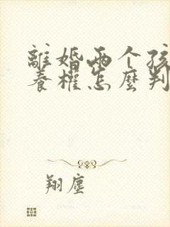 离婚两个孩子抚养权怎么判