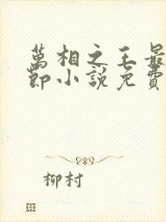 万相之王最新章节小说免费阅读封面