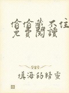 偷偷藏不住全本免费阅读