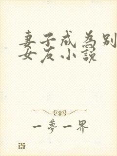 妻子成为别人的女友小说封面