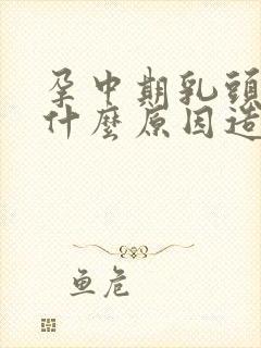 孕中期乳头痒是什么原因造成的