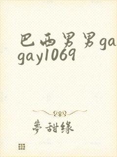 巴西男男gaygay1069