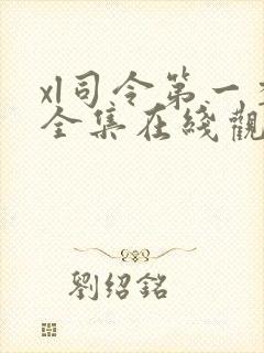 xl司令第一季全集在线观看完