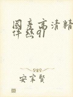 国产高清精品软件丝91