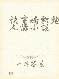 快穿娇软炮灰惹人怜小说封面