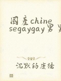 国产chinesegaygay男男网站