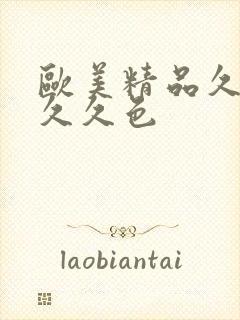 欧美精品久久久久久色