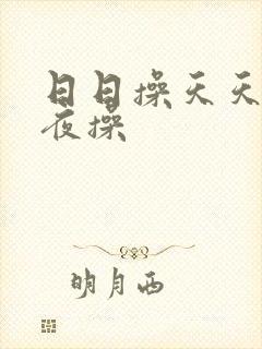 日日操天天操夜夜操