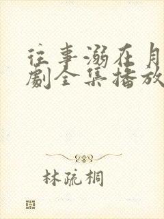 往事溺在月光短剧全集播放封面