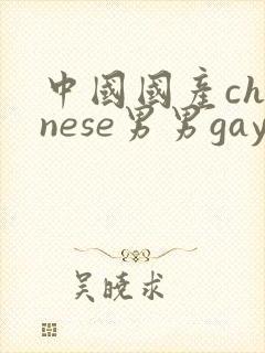 中国国产chinese男男gay gay网站