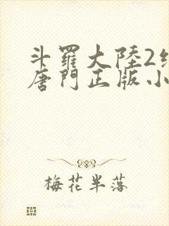 斗罗大陆2绝世唐门正版小说封面