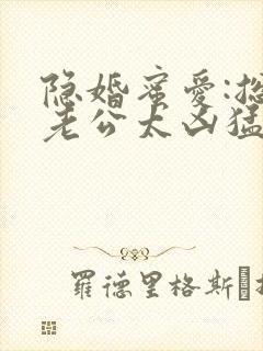 隐婚蜜爱:总裁老公太凶猛