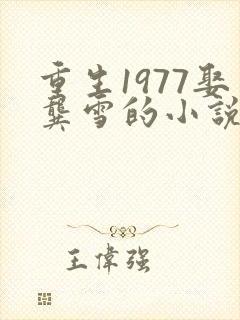 重生1977娶龚雪的小说封面