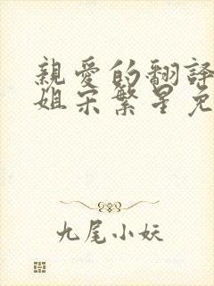 亲爱的翻译官小姐宋繁星免费观看封面