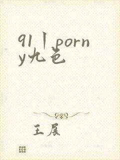 91丨porny九色