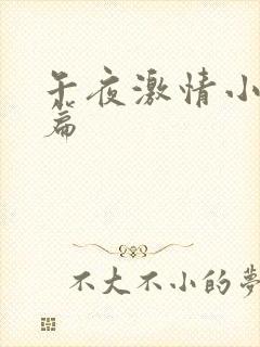 午夜激情小说短篇封面