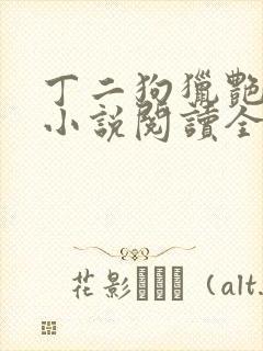 丁二狗猎艳人生小说阅读全文