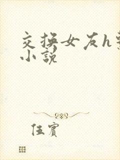 交换女友h系列小说封面